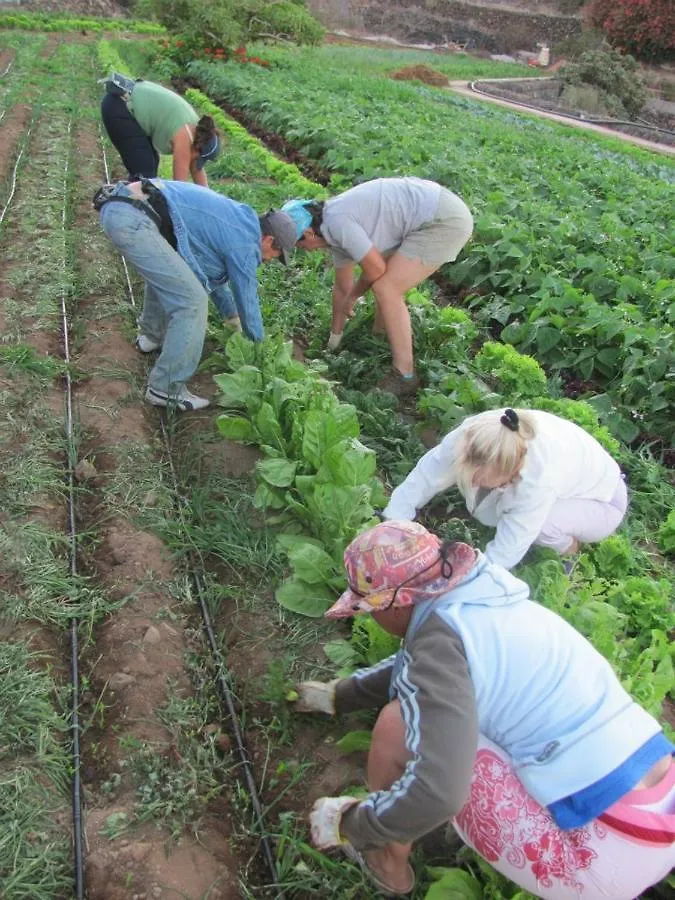 팜스테이 Chío Casa Rural Finca Las Dulces 빌라