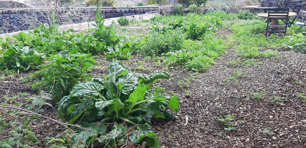 Chío Casa Rural Finca Las Dulces 빌라