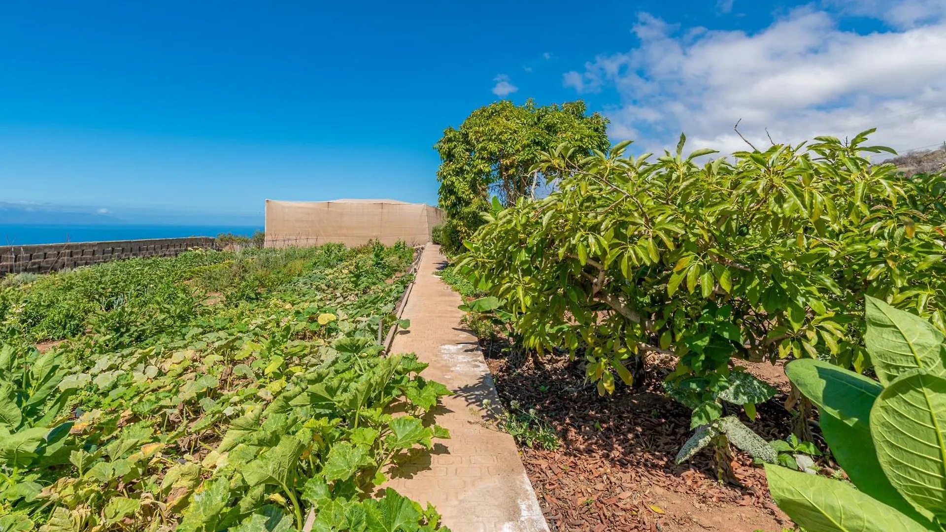 팜스테이 Chío Casa Rural Finca Las Dulces 빌라